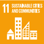 SDG 11