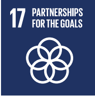 SDG icons