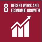 SDG 8