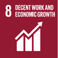 SDG icons